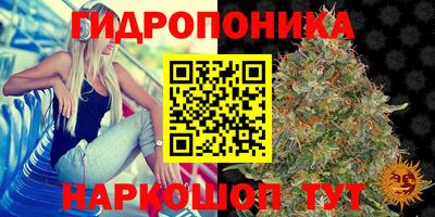 ALPHA PVP Комсомольск-на-Амуре
