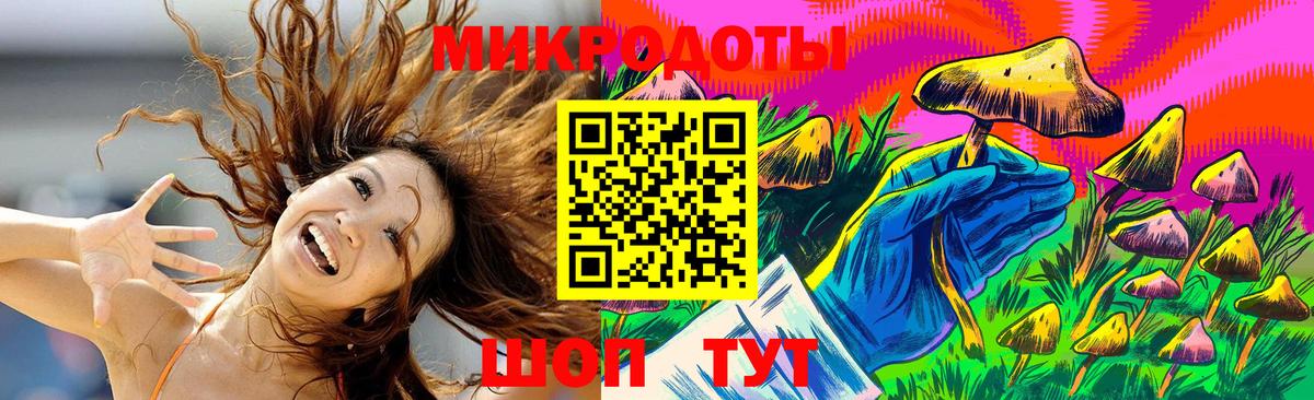 Псилоцибиновые грибы Psilocybe Южноуральск