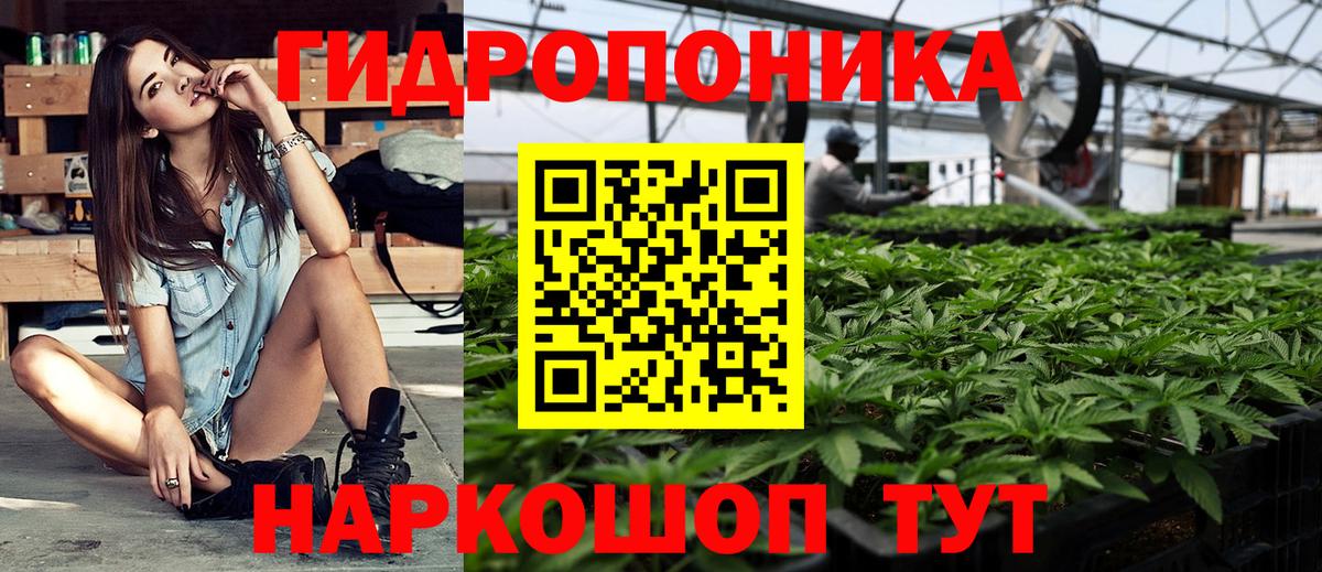 Шишки марихуана сатива  Конопля тримм  Вход с VPN  Шишки марихуана планчик  Южноуральск  Марихуана ГИДРОПОН 